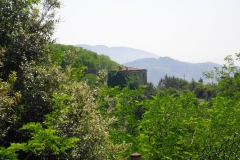 Pian25