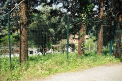 Pian7