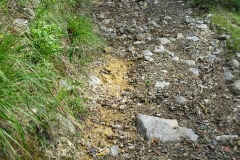 PIT21bis