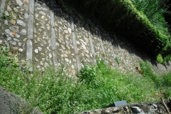 PIT25
