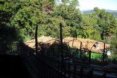 PIT3