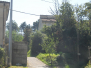 Pomara