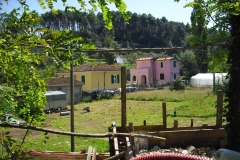 POMARA1