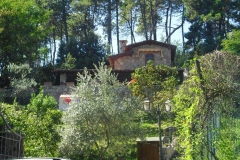 POMARA11