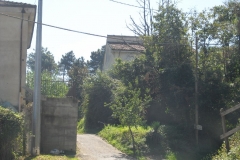 POMARA13