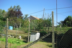 POMARA14