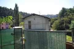 POMARA2