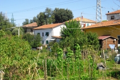 POMARA3bis