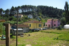 POMARA5