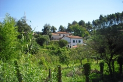POMARA6