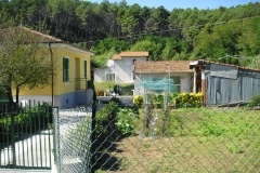 POMARA8