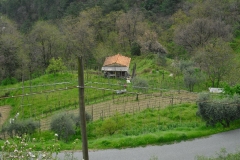 CIMG4468