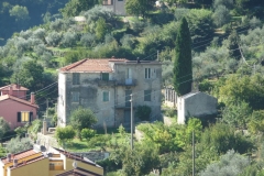 vign21