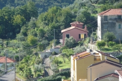 vign22