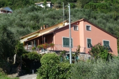 vign24