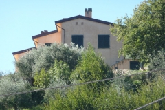 vign30