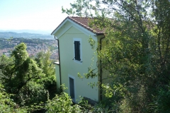 vign8