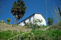 CIMG4307