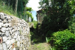 VIS10