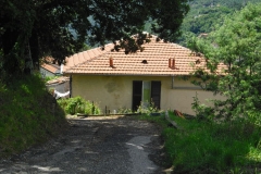 VIS12