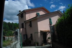 VIS3