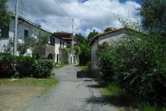VIS9